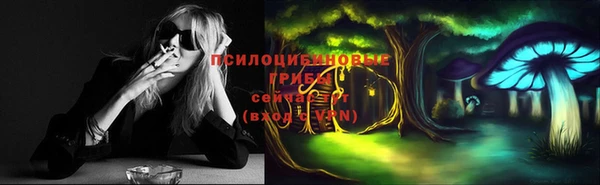 стаф Коряжма