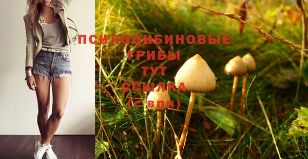 амфетамин Краснослободск