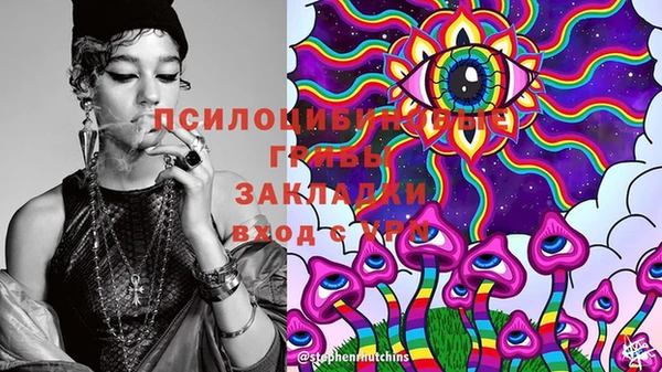 стаф Коряжма