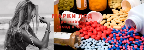 дживик Корсаков